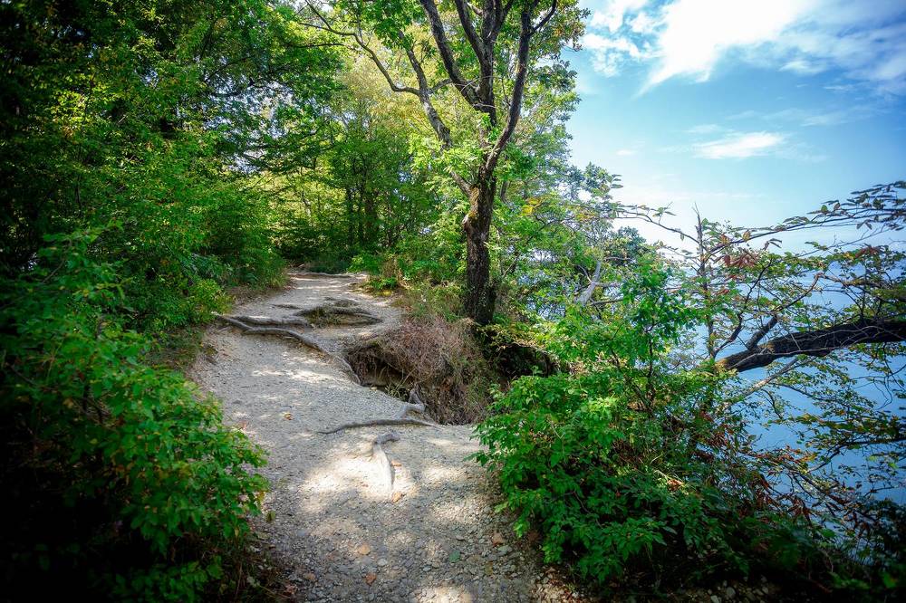 Photograph by Алексей Трифонов