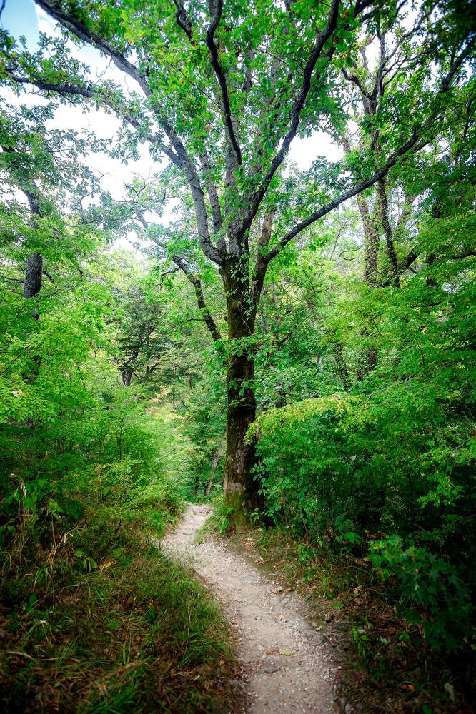 Photograph by Алексей Трифонов