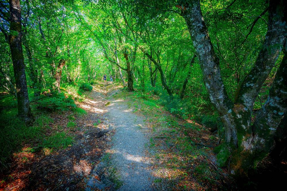 Photograph by Алексей Трифонов