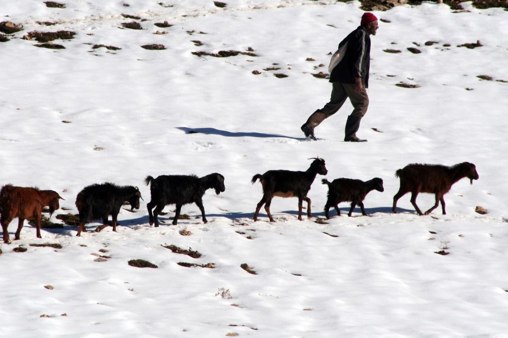 Photograph by Salih Aqeil