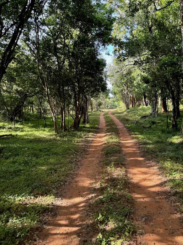 Photograph by Bimali Fernando