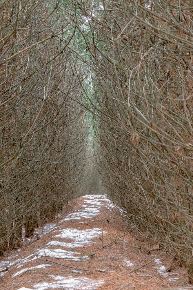 Там на неведанных дорожках