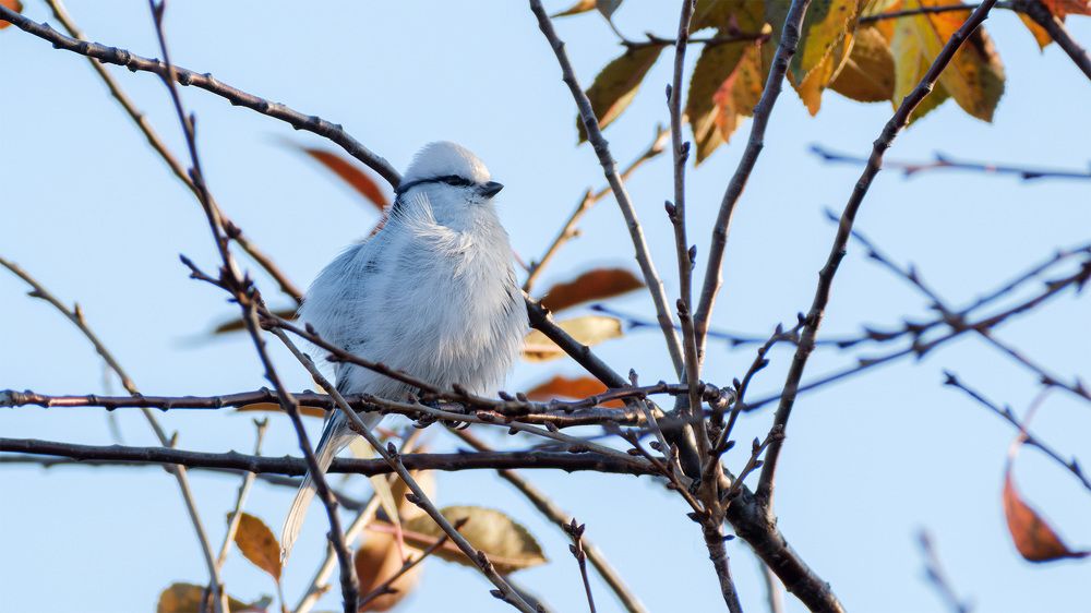 Photograph by Бодрягин Виталий
