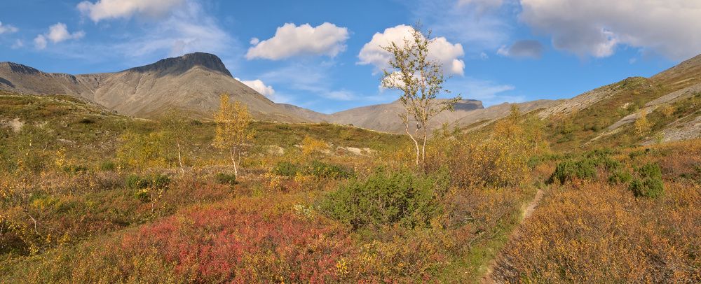 Синь и золото Хибин