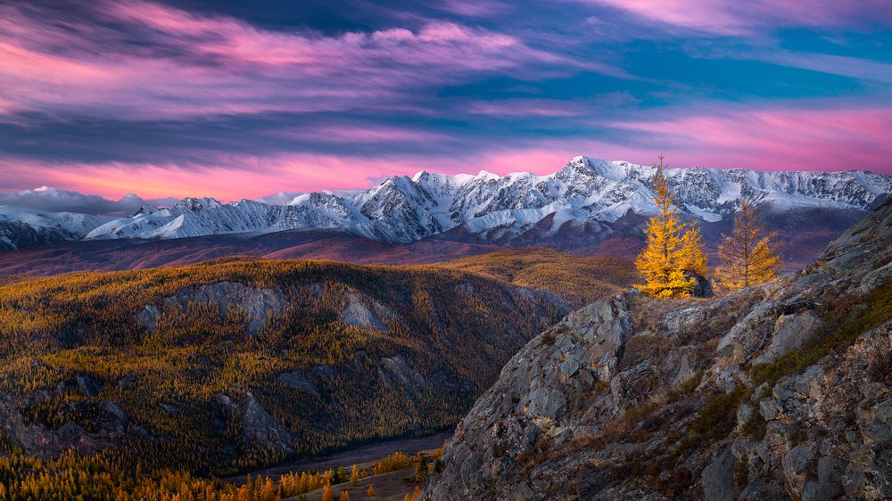 Photograph by Андреев Сергей