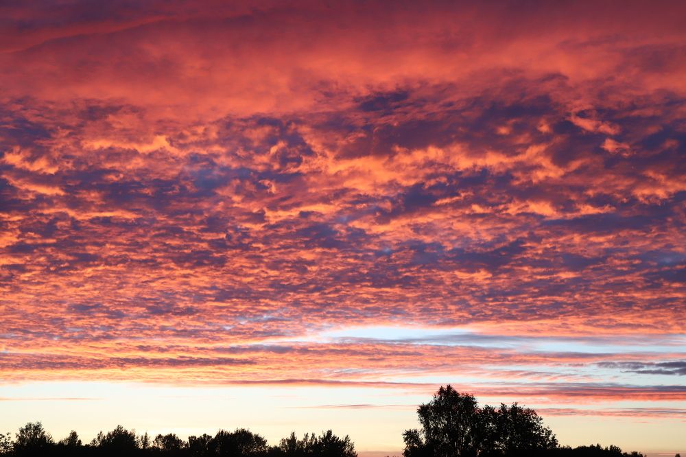 Photograph by Елена Тимченко