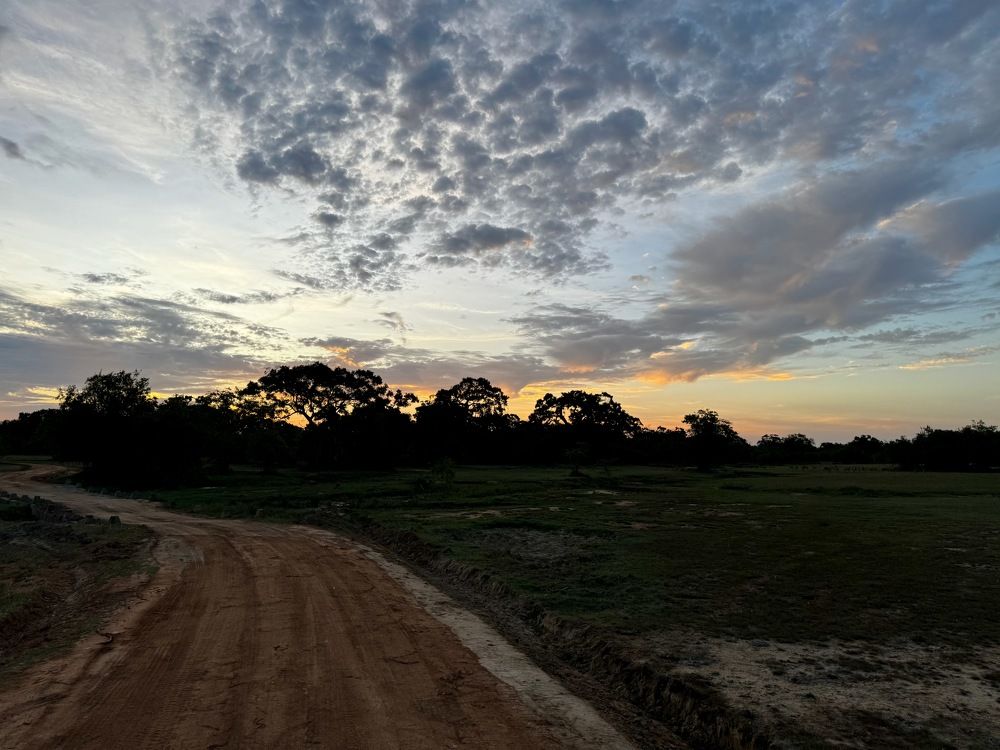 Photograph by Bimali Fernando