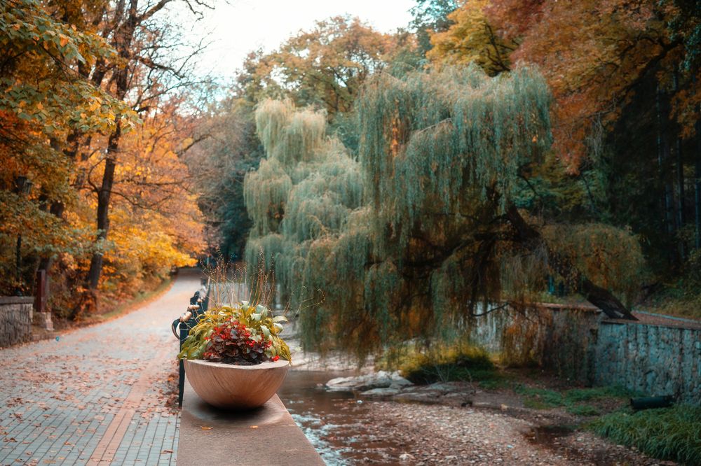 Photograph by Алена Устинович