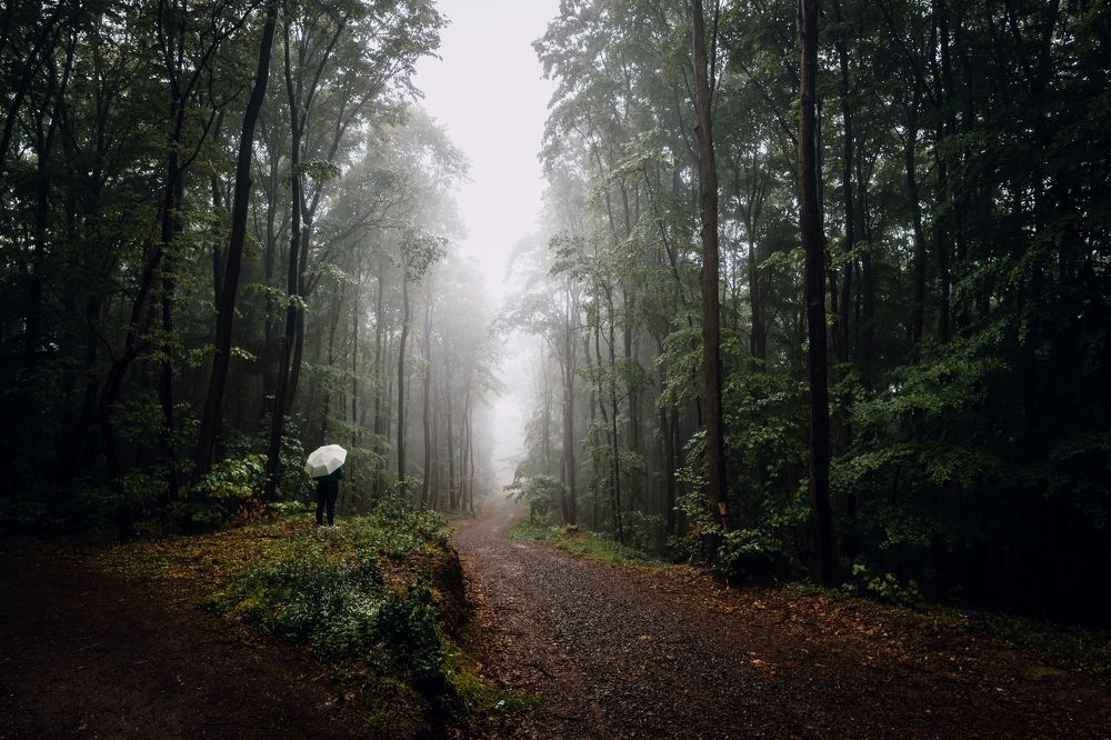 Photograph by Dejan Zakic