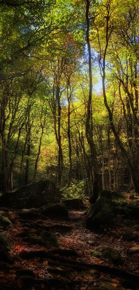 Photograph by Наталия Мельникова