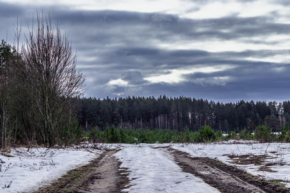 Зимняя дорога