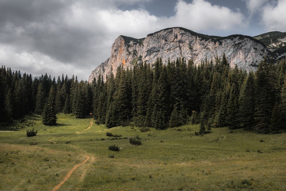 Photograph by Dejan Zakic