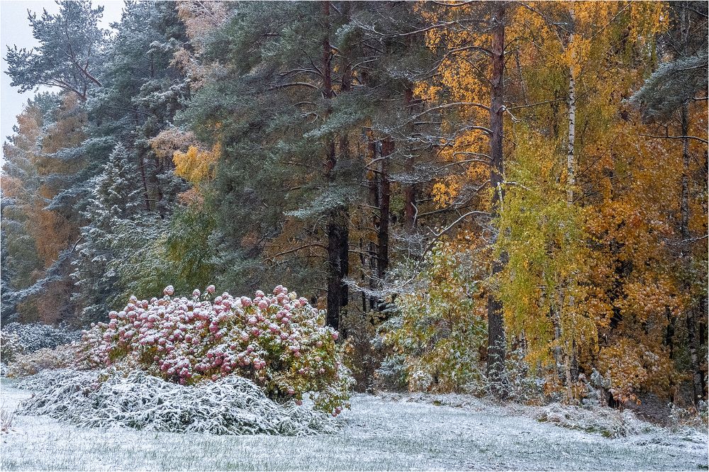 Фотография автора Aleksej Musatov