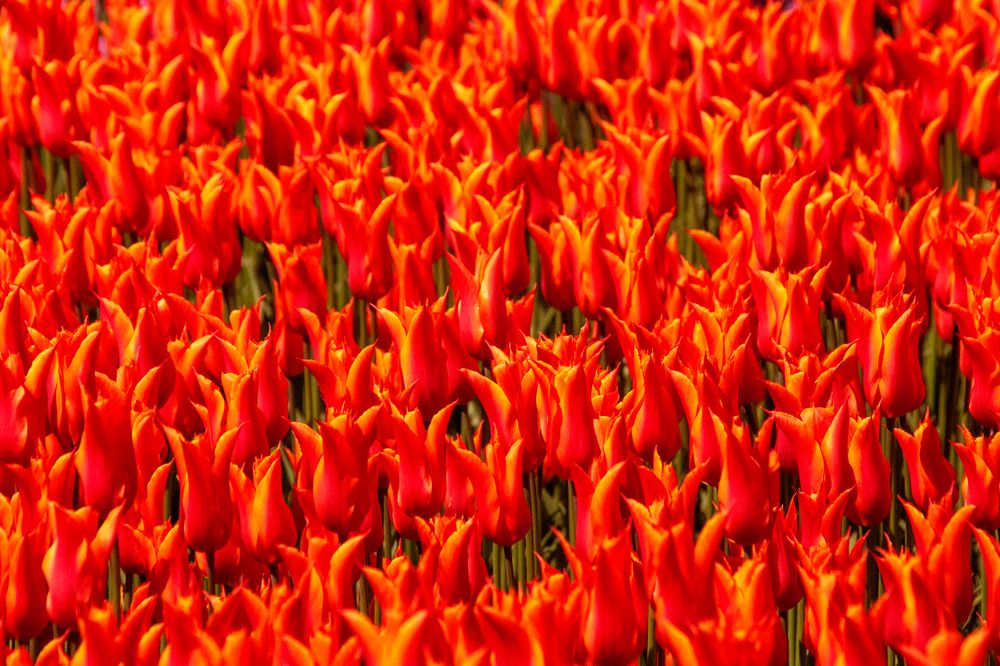 Photograph by Наталия Шинкевич