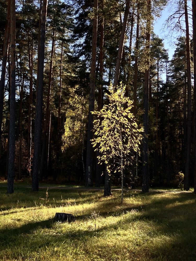 Photograph by Мария Карпычева