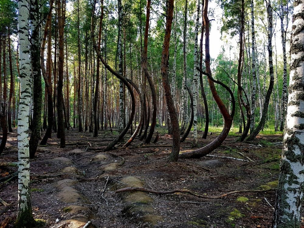 Photograph by Максим Иванов