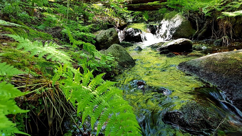 Photograph by Максим Иванов