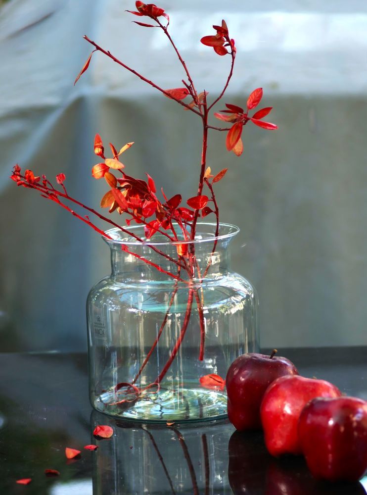 Photograph by Merav Zuberman Perkal