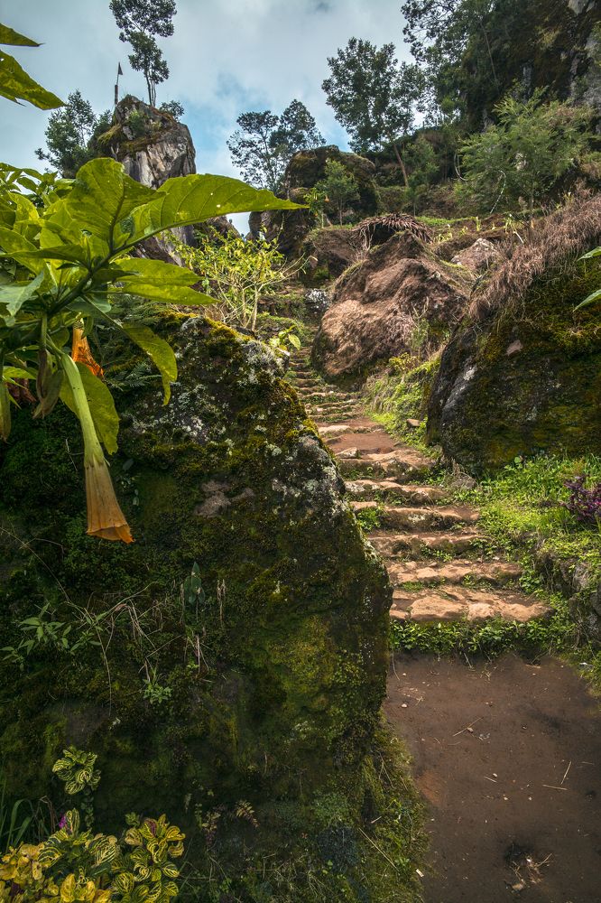 Photograph by Александр Журавлев