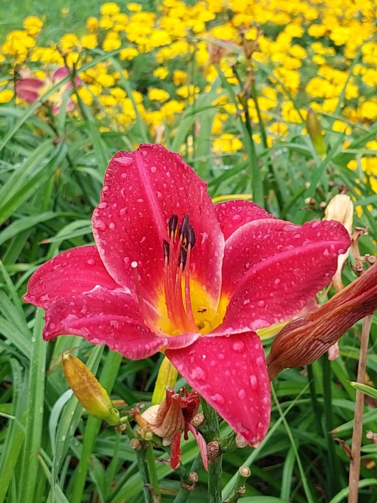 Photograph by Елена Тимченко