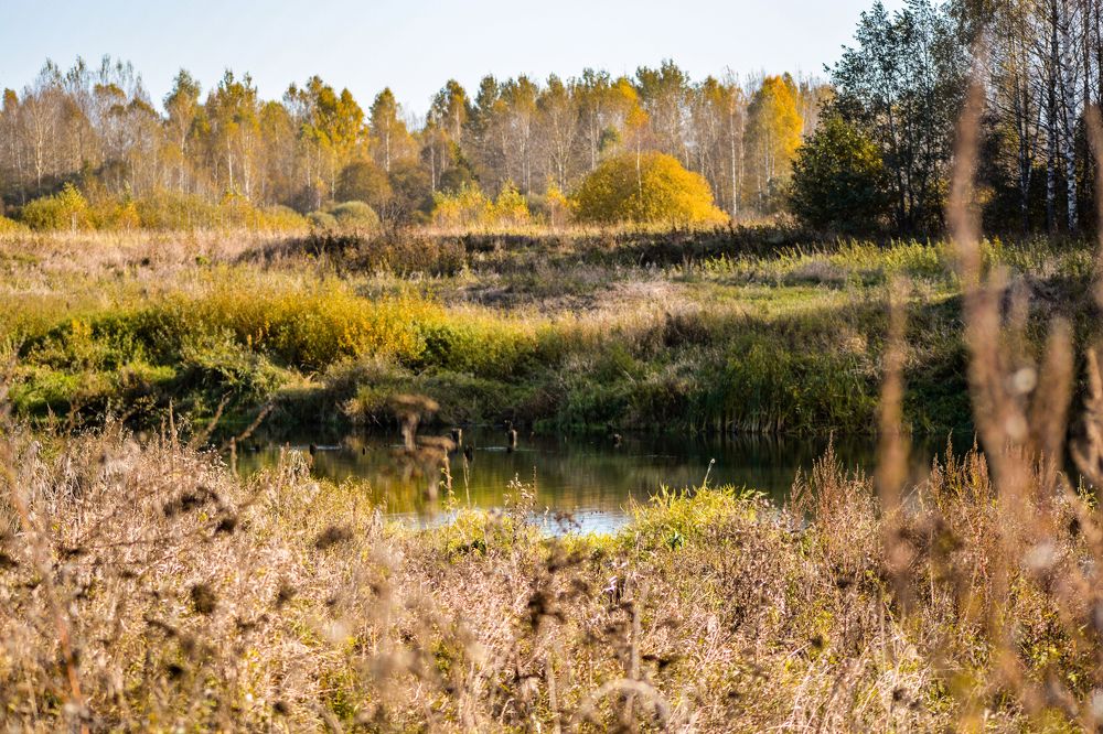 Photograph by Сергей Гуров