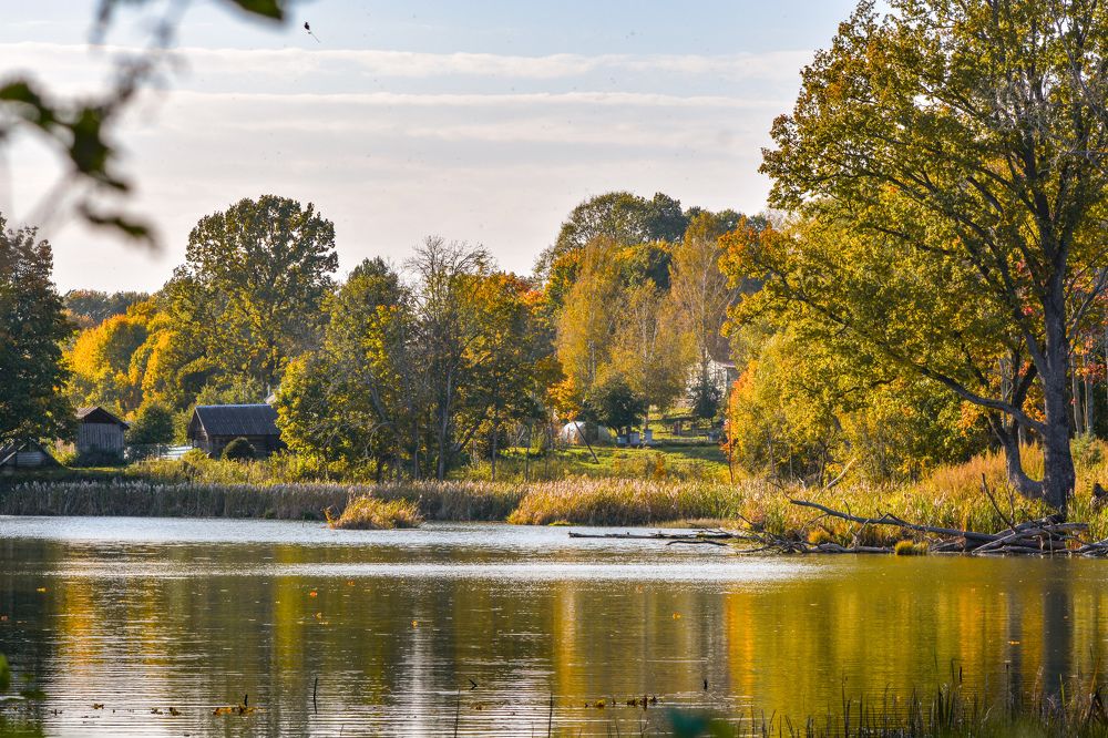 Photograph by Сергей Гуров