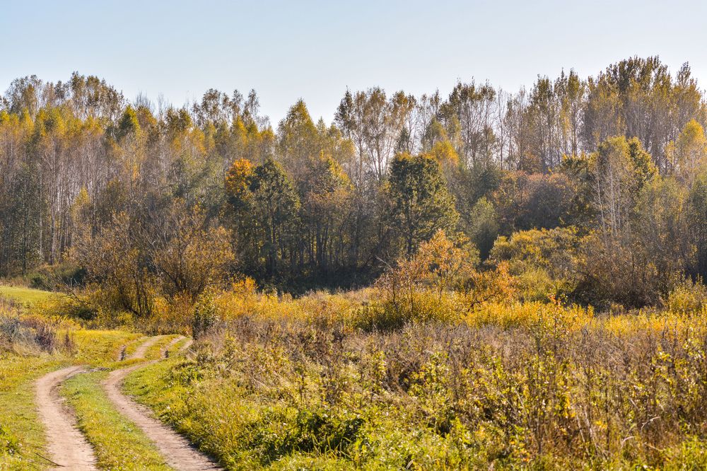 Photograph by Сергей Гуров