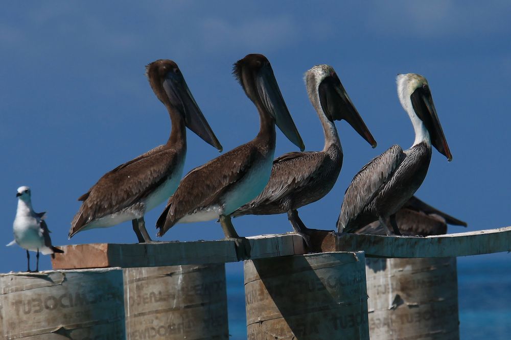 Photograph by Александр Журавлев