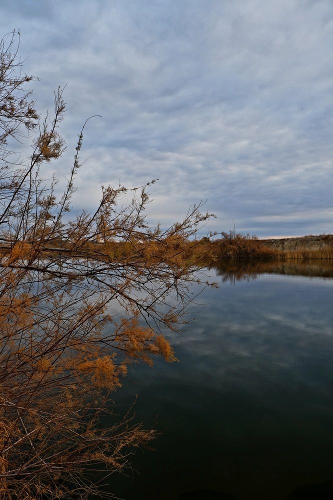 Photograph by Яна Истоцкая