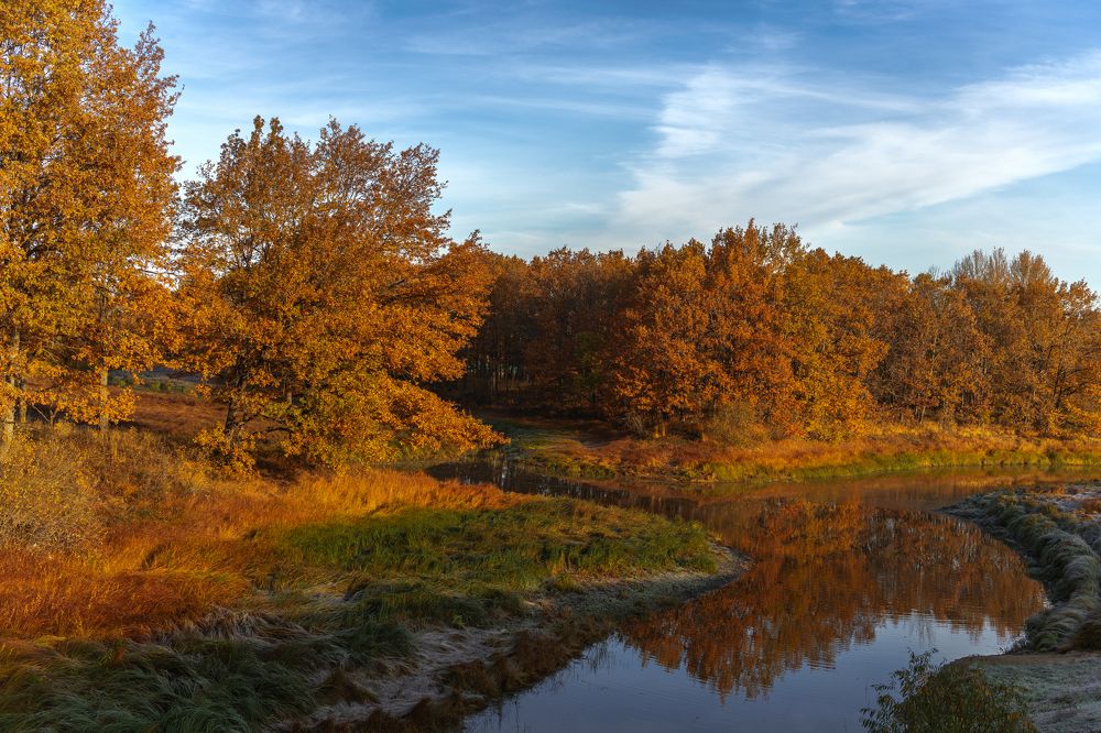 Photograph by Третьякова Анастасия
