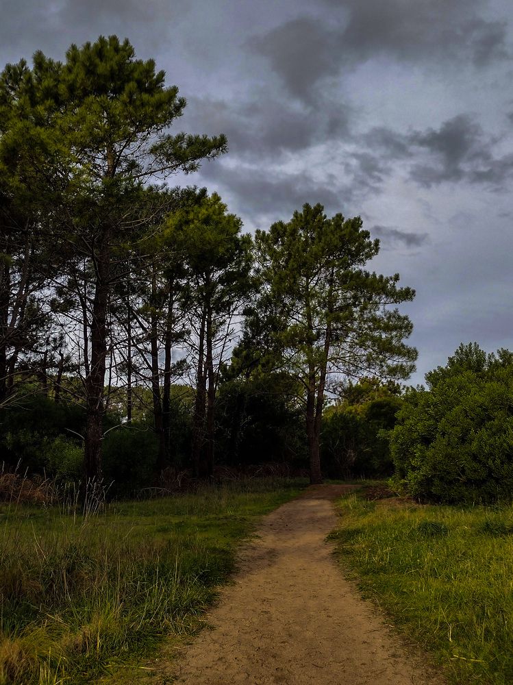 Photograph by Maria Julieta ZURZOLO