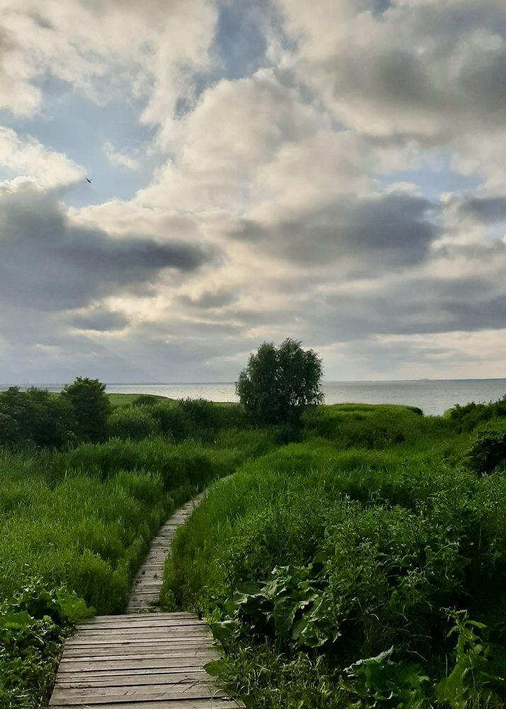 Photograph by Ольга Белоусова