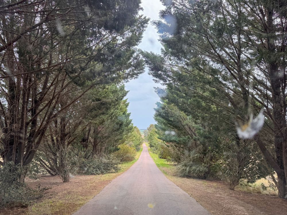 Photograph by Maria Julieta ZURZOLO