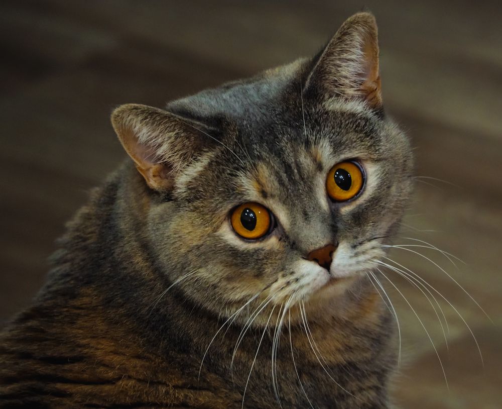 Photograph by Олег