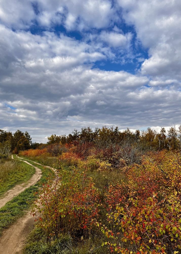 Photograph by Ольга Белоусова