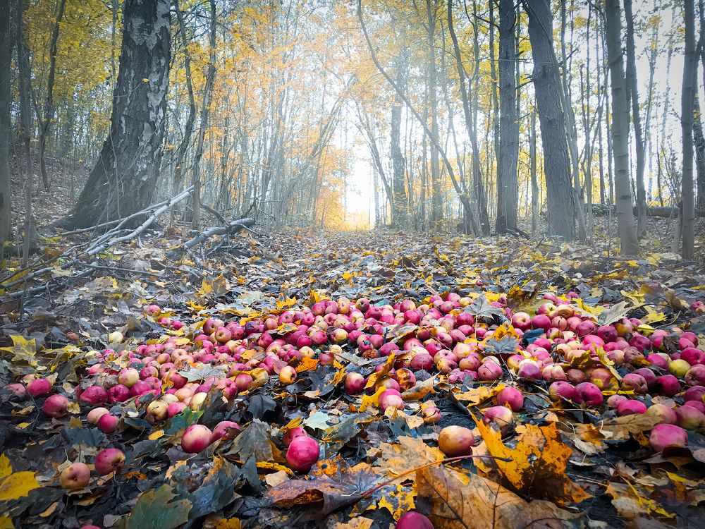 Photograph by Наталья Суслова