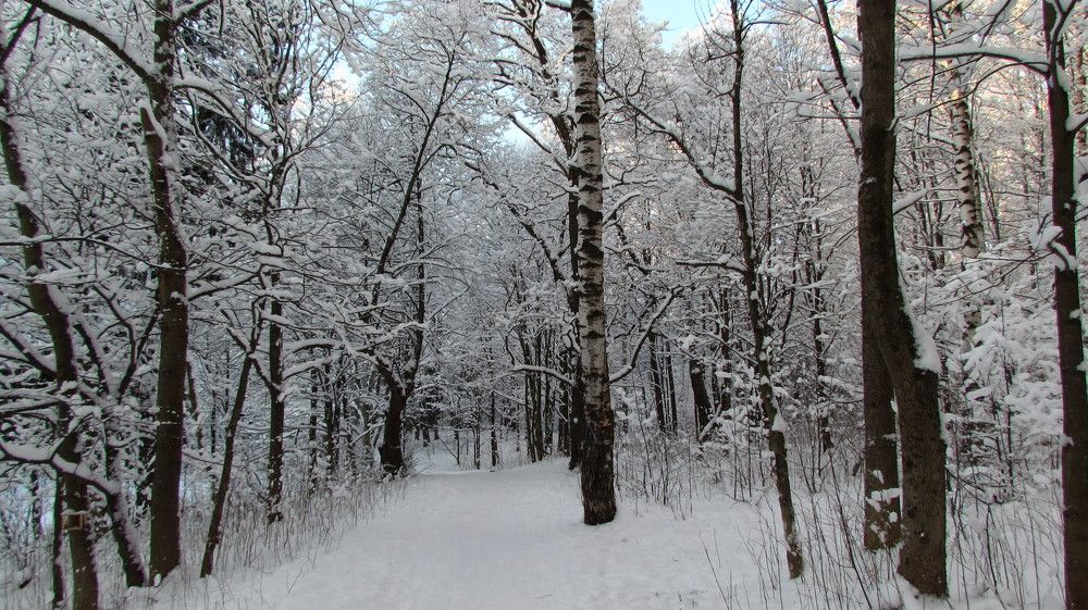 Photograph by Юлиана Иванова