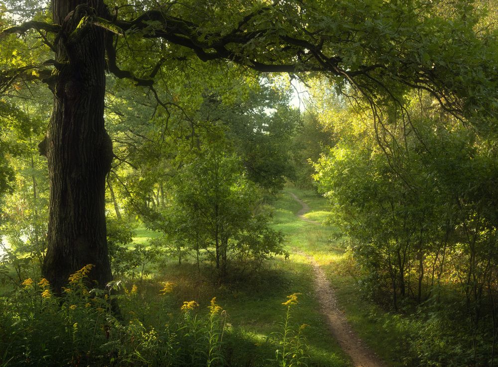 Photograph by Бонина Ольга