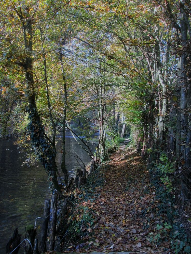 Photograph by Dragoslav Macanović