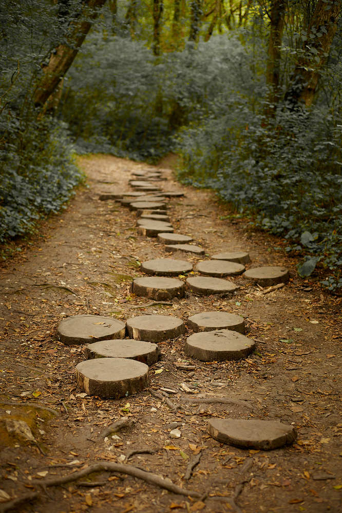 Фотография автора Дмитрий Смирнов