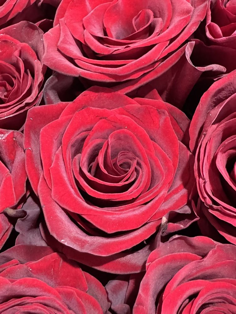 Photograph by Александр Мельниченко