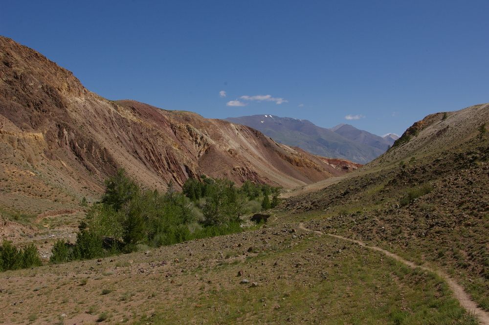 Photograph by Елена Алешкевич