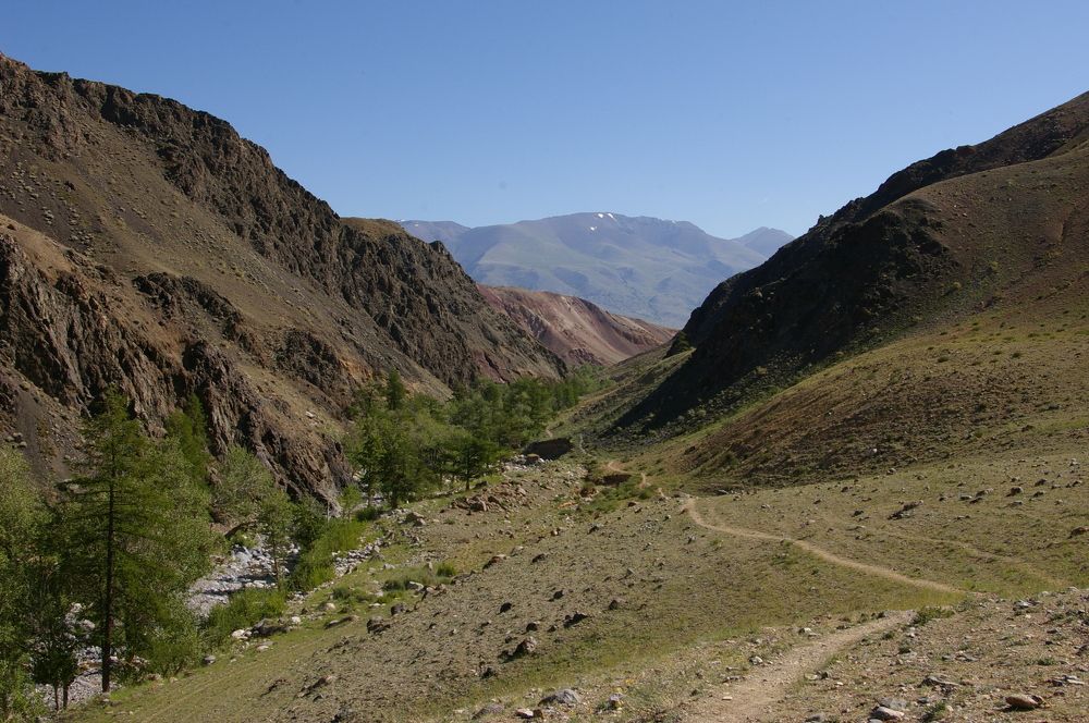 Photograph by Елена Алешкевич