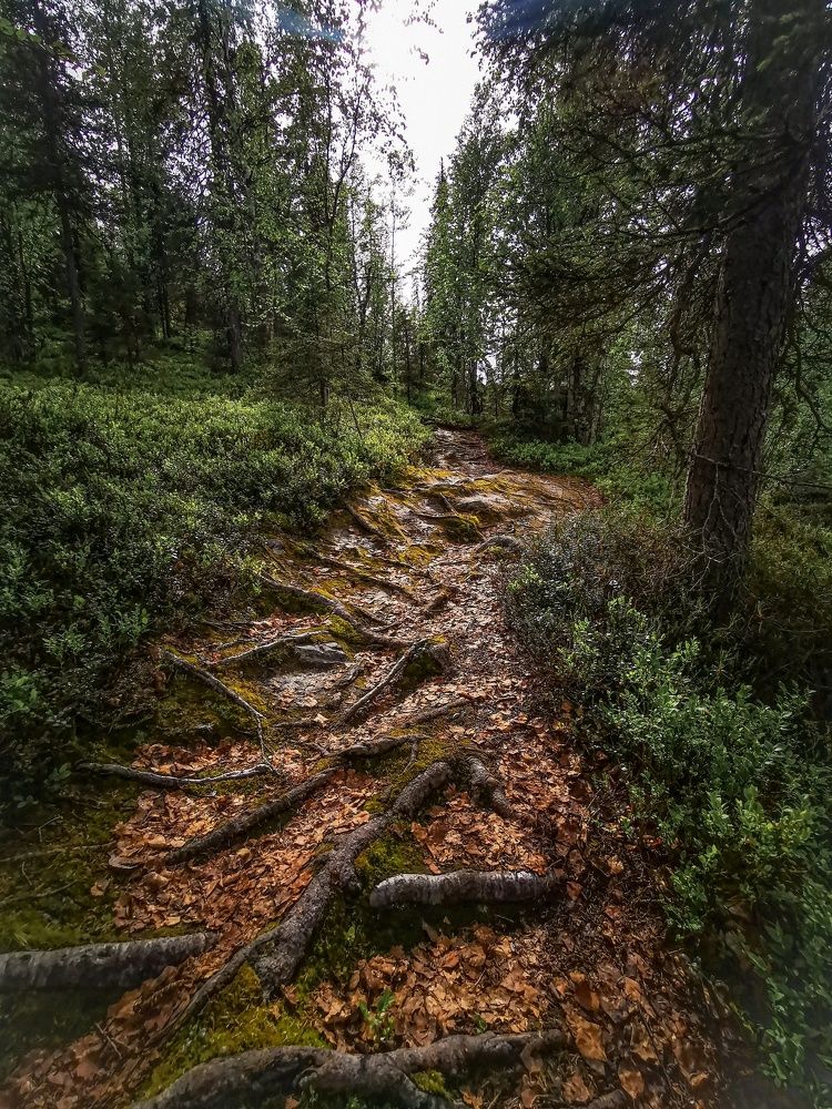 Photograph by Третьякова Анастасия