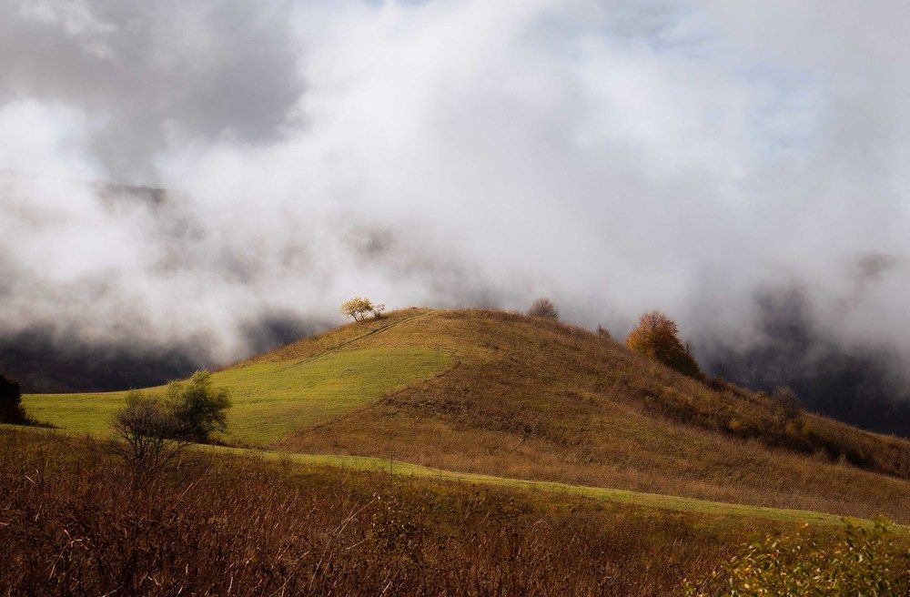 Photograph by Анастасия Сартакова