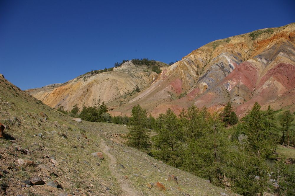 Photograph by Елена Алешкевич