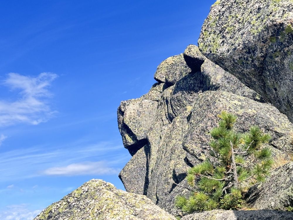 Photograph by Ольга Шабалина