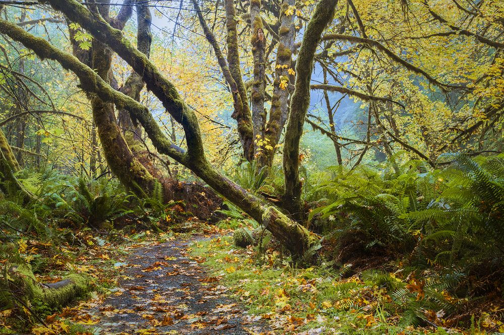 Photograph by Mike Lee