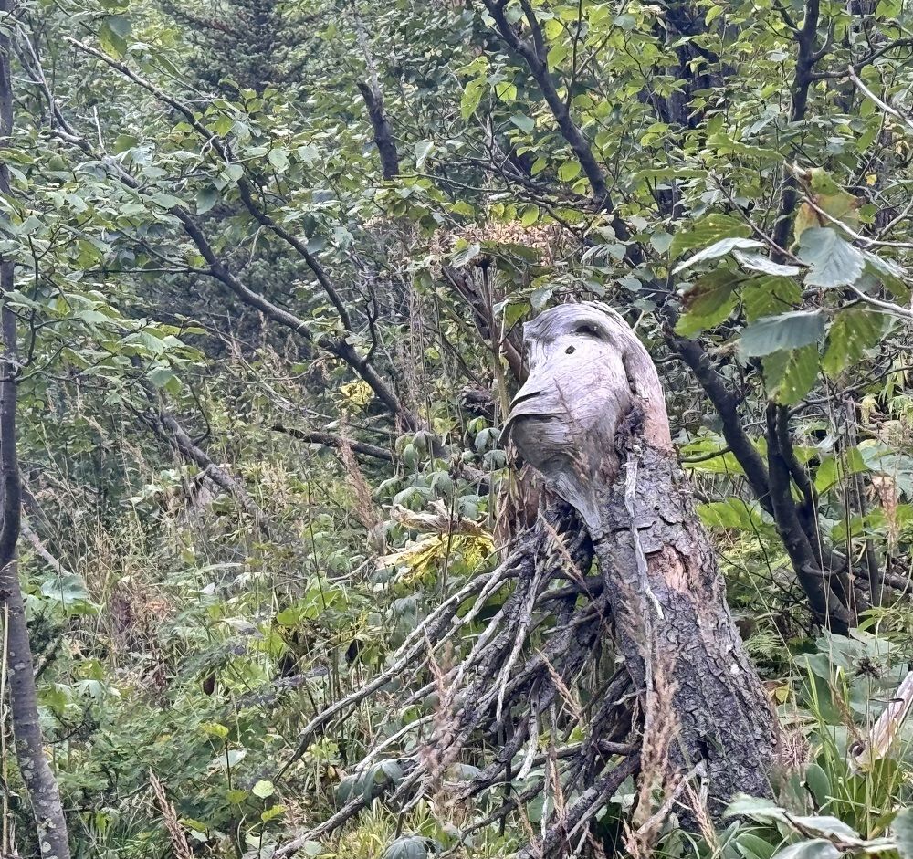 Photograph by Ольга Шабалина