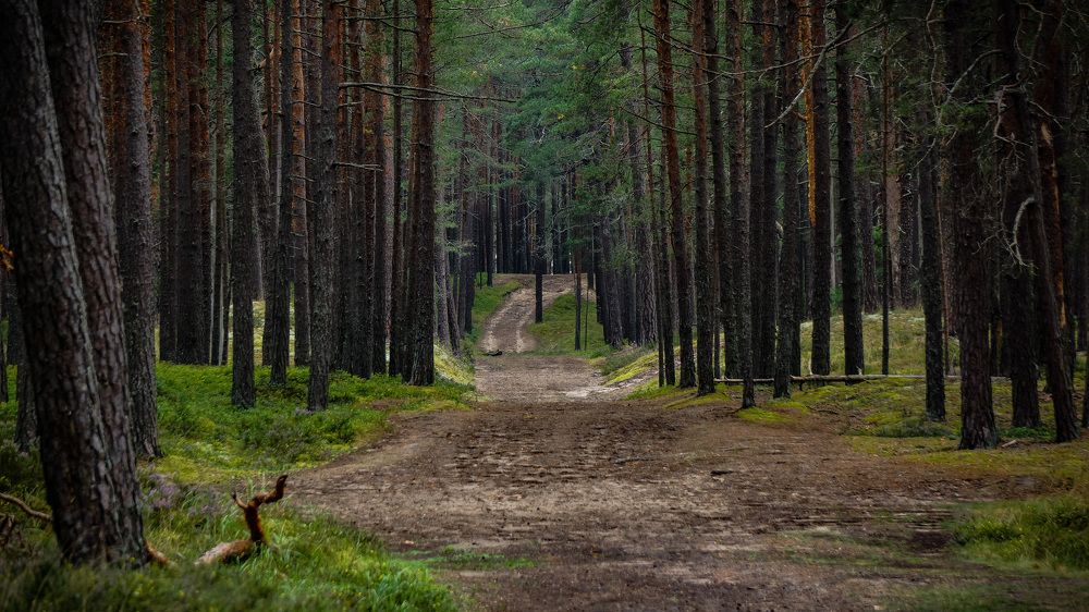 Photograph by Igors Rostikovs